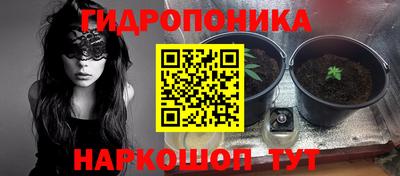 трава Абакан
